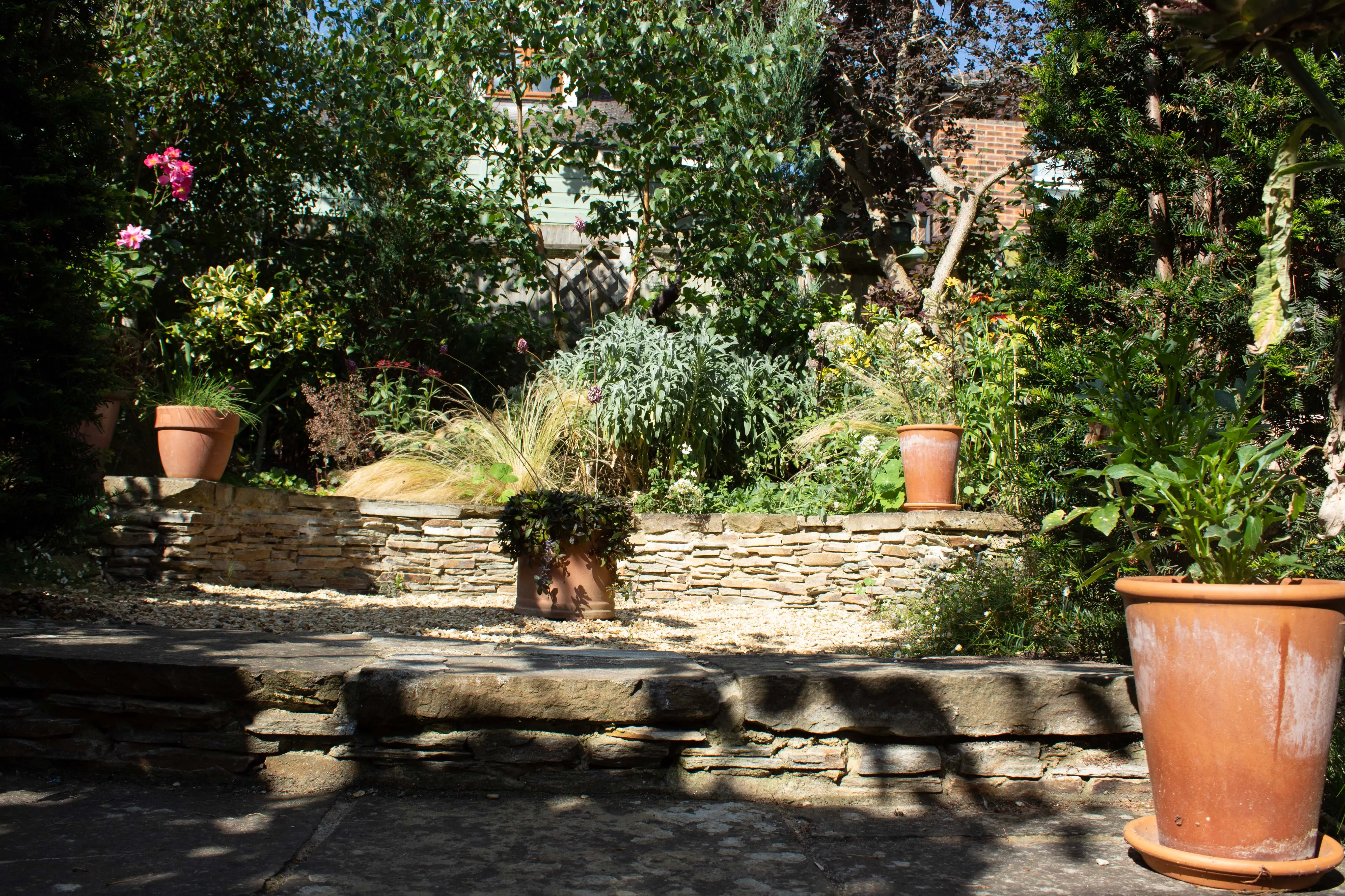 A dog walks through a lush garden filled with plants and terracotta pots under soft sunlight.