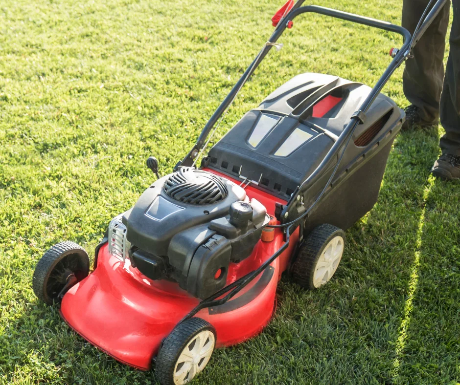 A man using a lawn dethatcher in fall