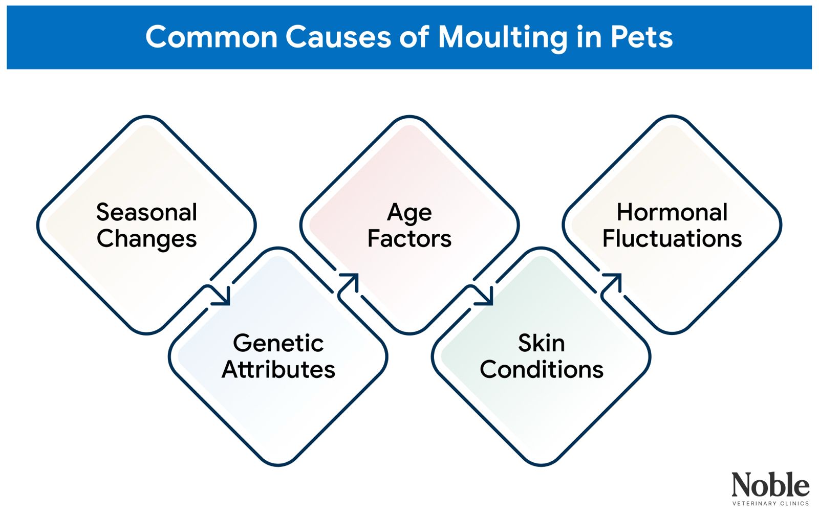 An infographic showing the causes of moulting in pets.