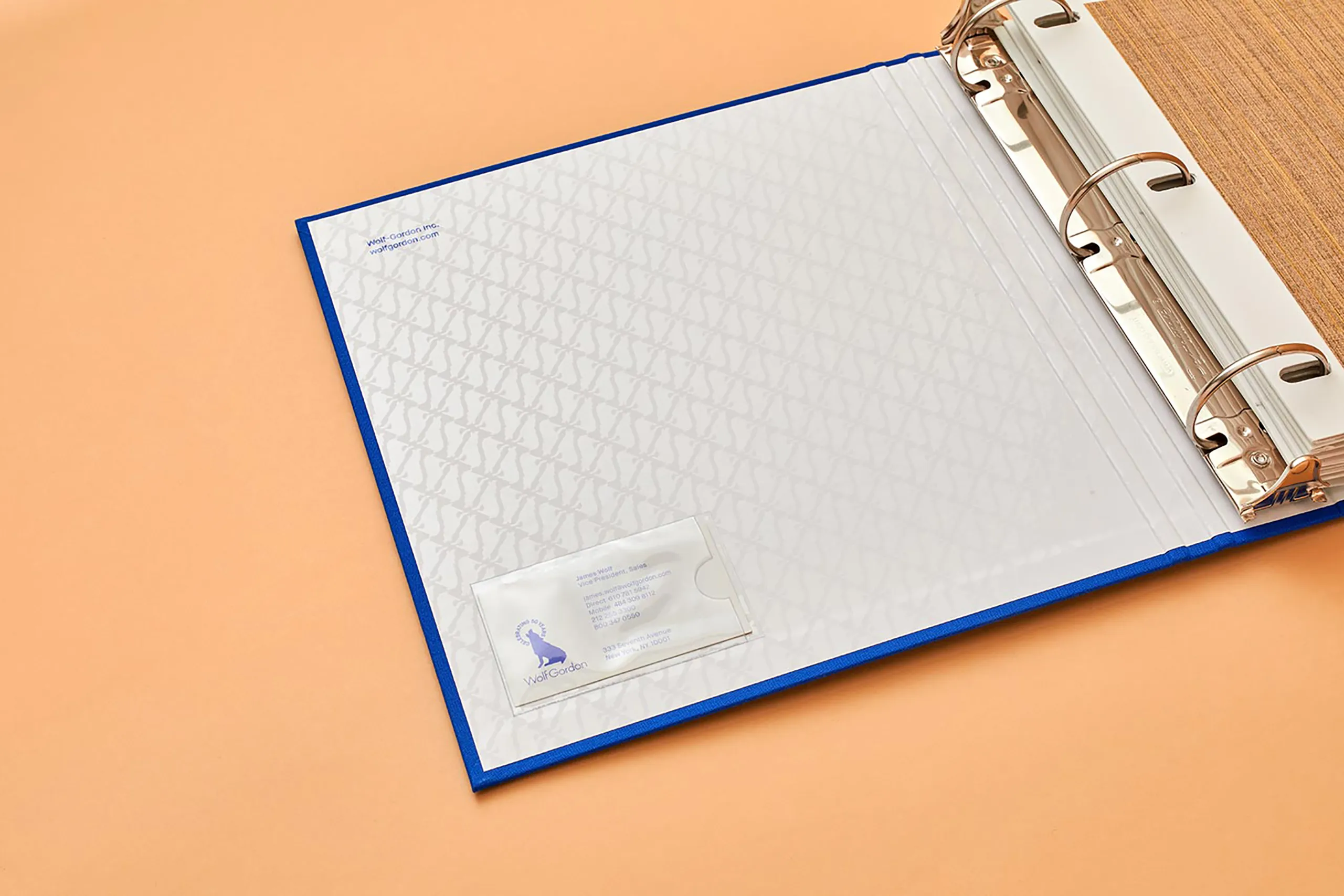 Open Wolf-Gordon sample binder showing the ring mechanism and internal labeling area