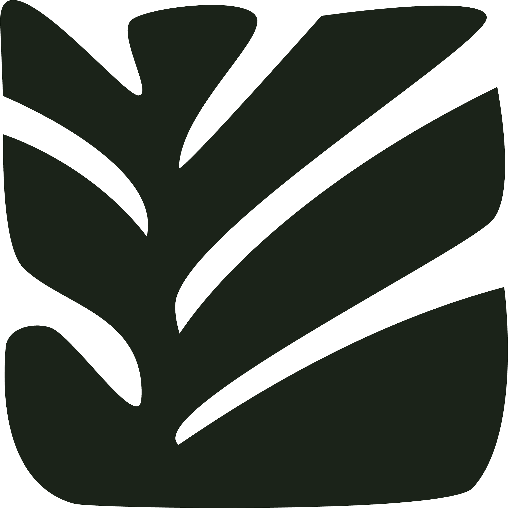 Leaf Illustration