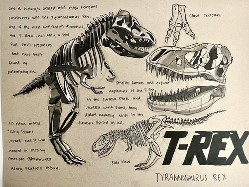 dynsketch trex.jpg