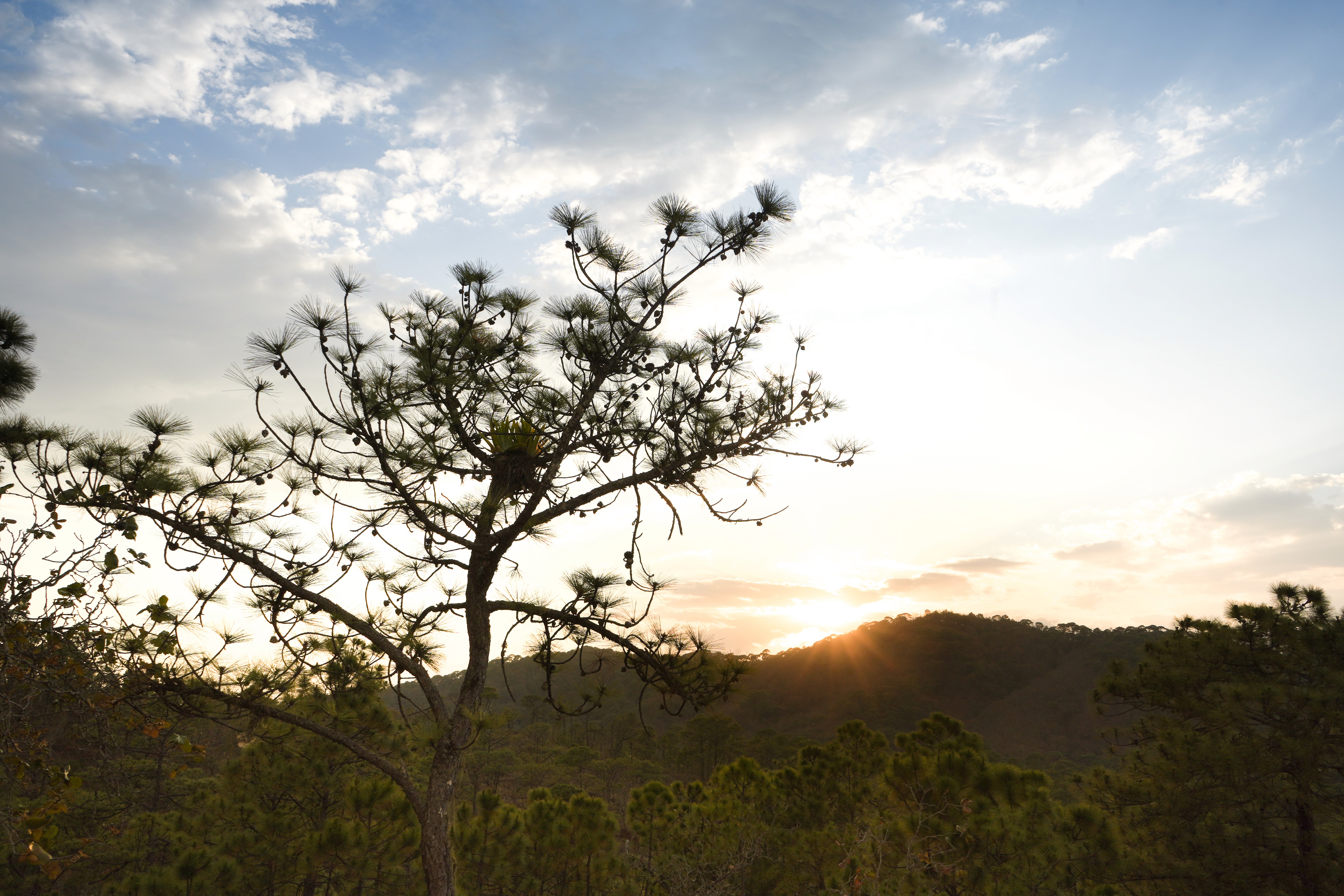 hands working with network cables