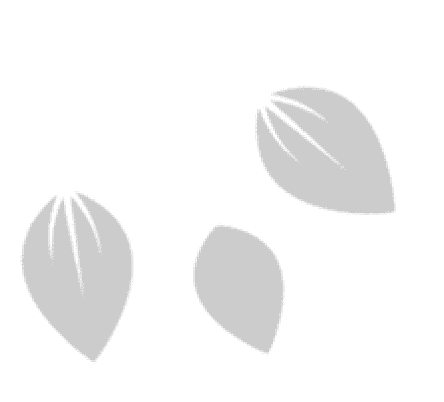 decoration
