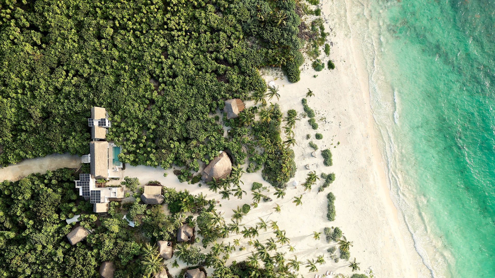 Luftaufnahme eines Strandes mit weißem Sand, grünen Bäumen und türkisfarbenem Wasser, Häusern