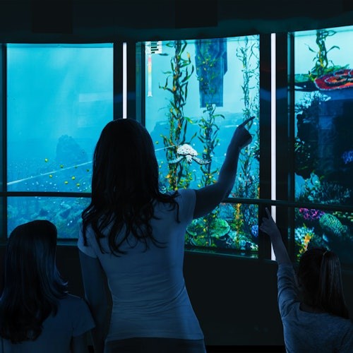 XPERIA - ઓશન યાત્રા: સેવિerville માં પ્રવેશ ટિકિટ