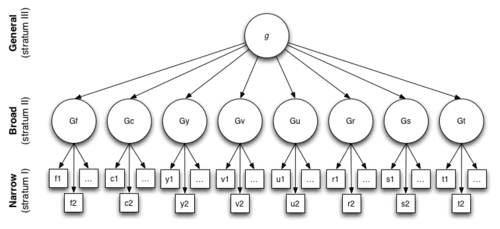 CHC hierarchical model of intelligence showing the g factor at the top (Stratum III: General), broad cognitive abilities like Gf, Gc, Gy, Gv, Gu, Gr, Gs, and Gt at Stratum II (Broad), and narrow specific abilities at Stratum I (Narrow), demonstrating how intelligence organizes in layers rather than as separate components