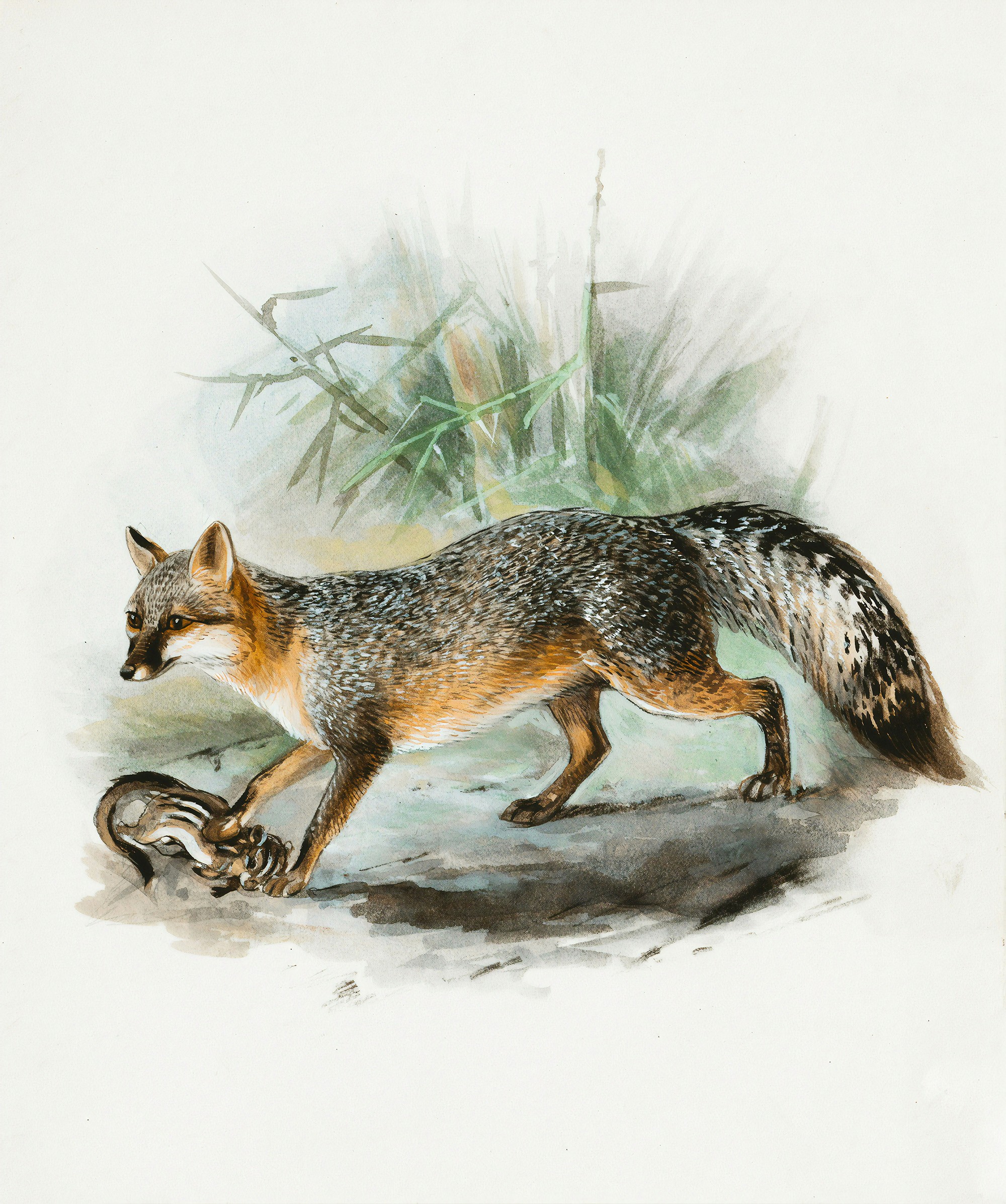 Fragmented Realities Image #4