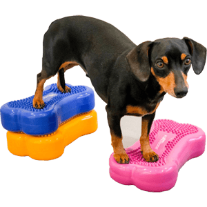 CanineGym® K9FITbones™ Balance Training Platforms -Minis