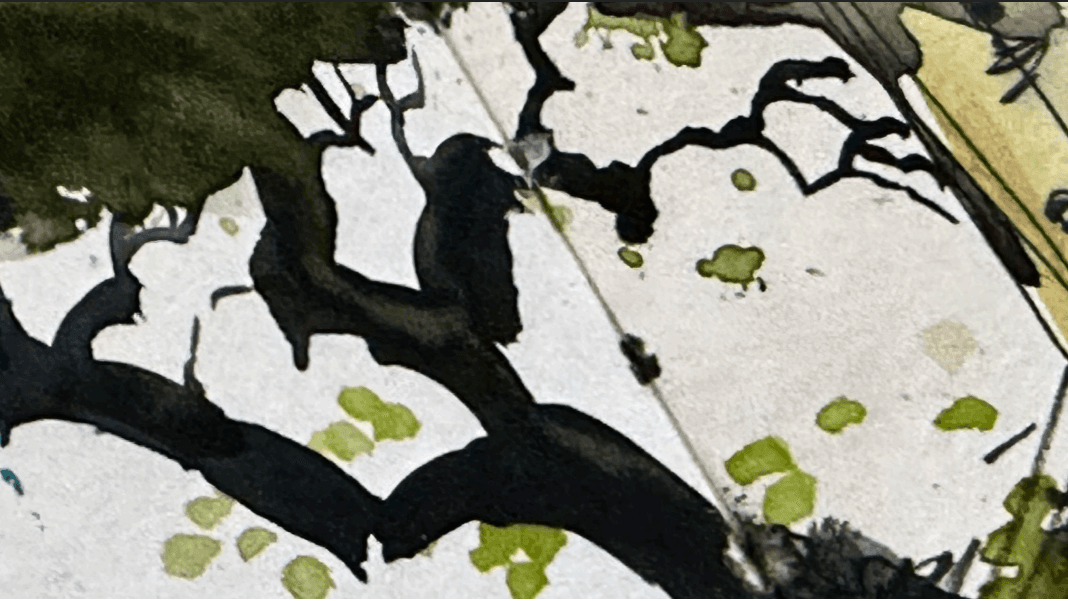 blog image