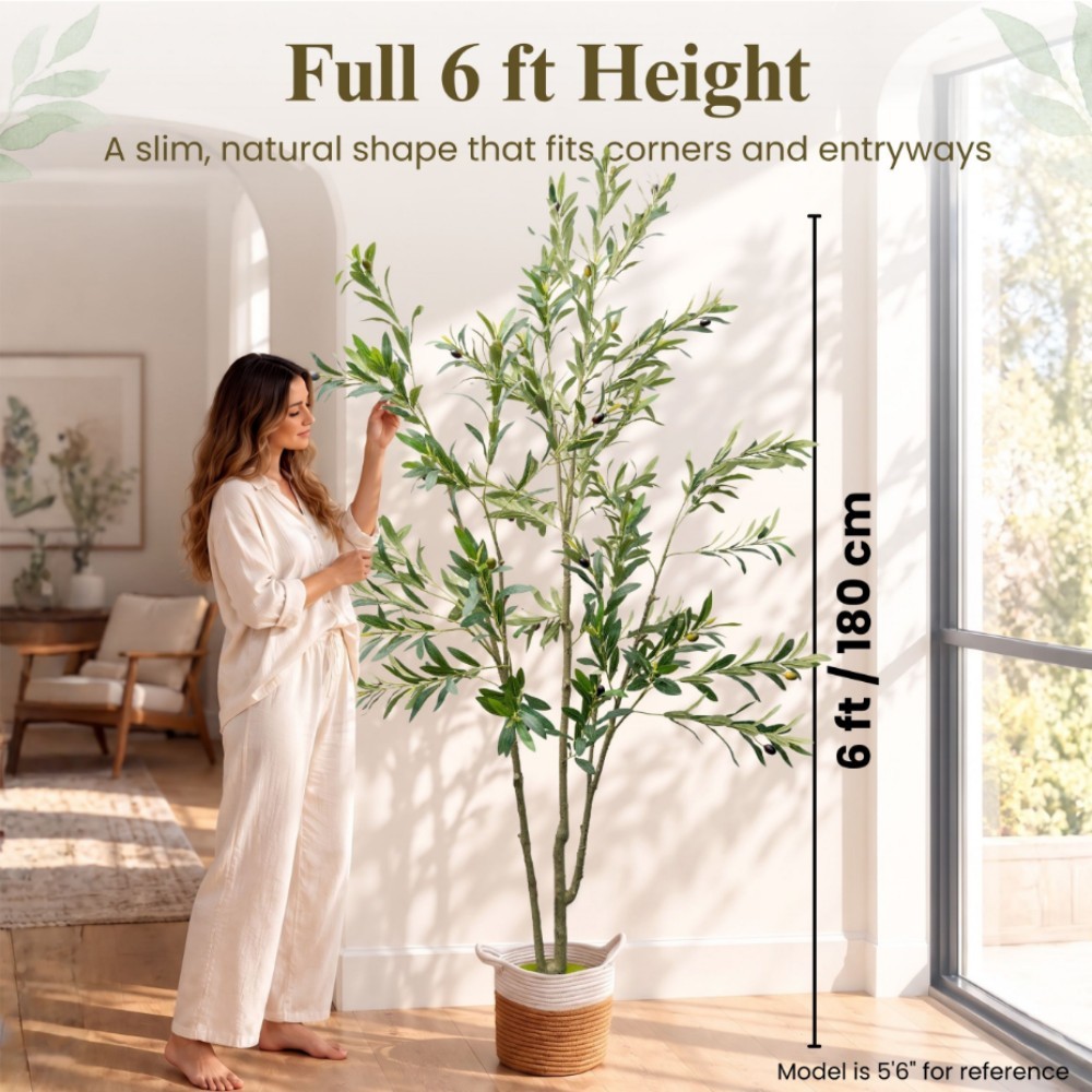 olive tree Amazon amazon listing images 3: Scale