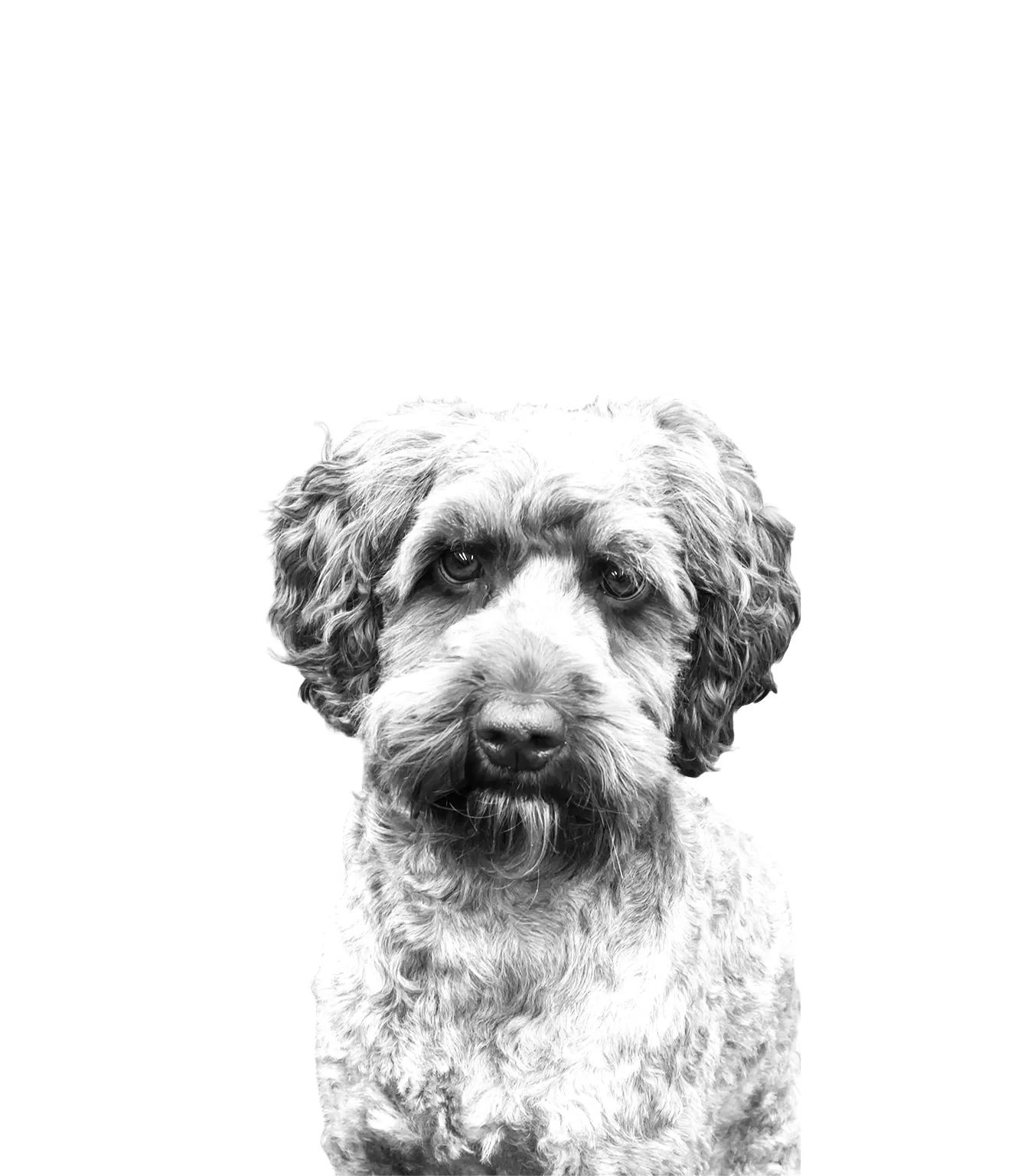 Henkilöstö - Maiju 1