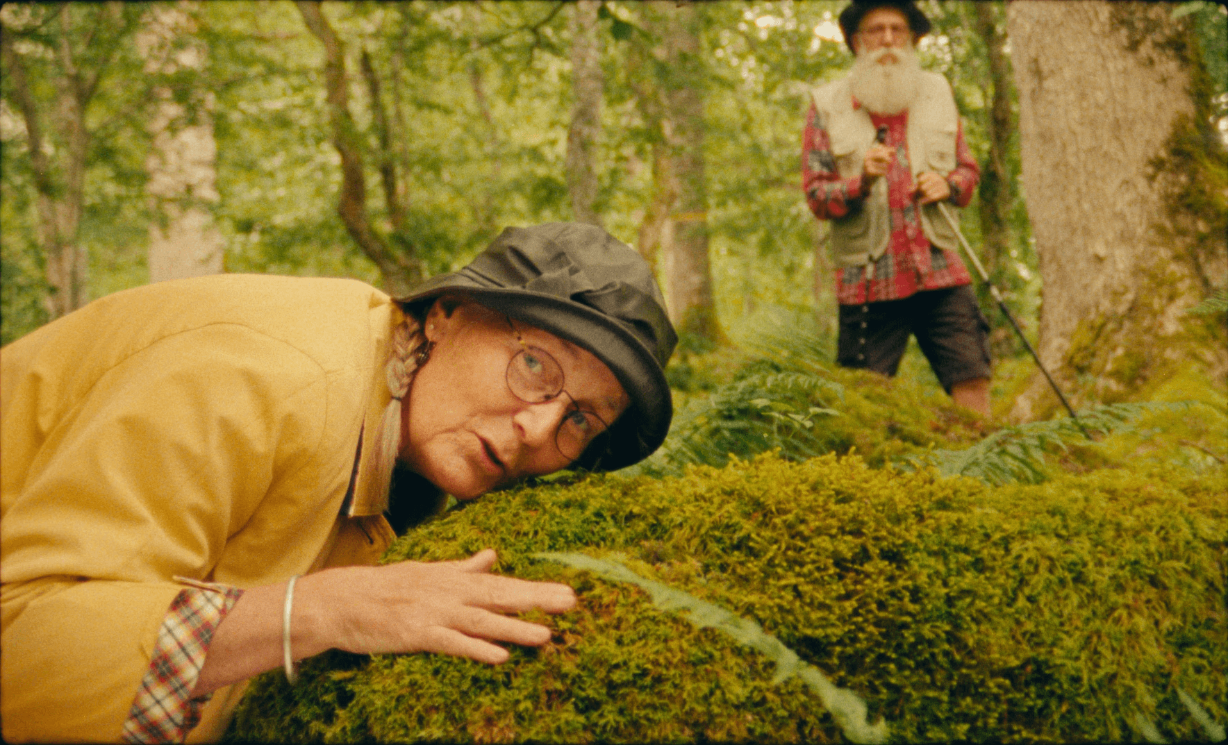 Magnetic repel image