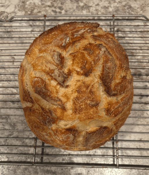 Pumpkin Carving Wolf