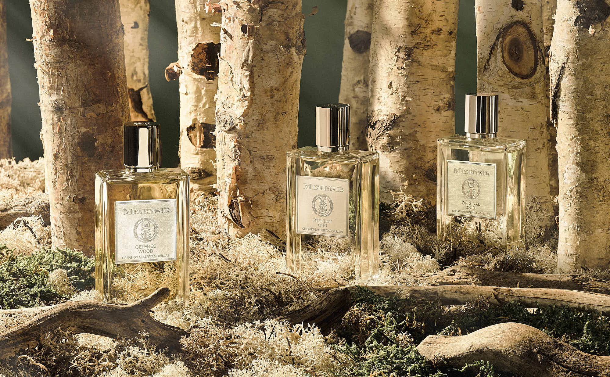 Three perfume bottles are placed on a rustic wooden surface, surrounded by natural elements and greenery.