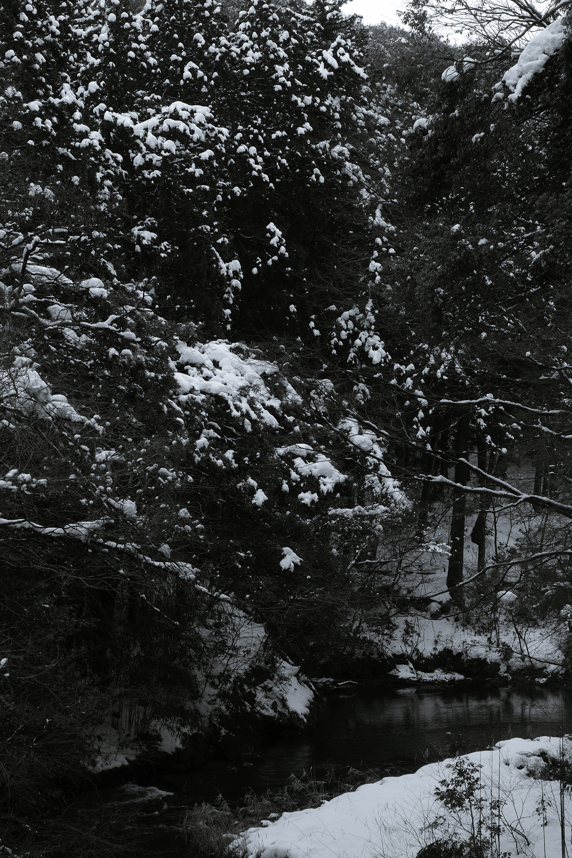 Portfolio Free Framer Template for Creatives