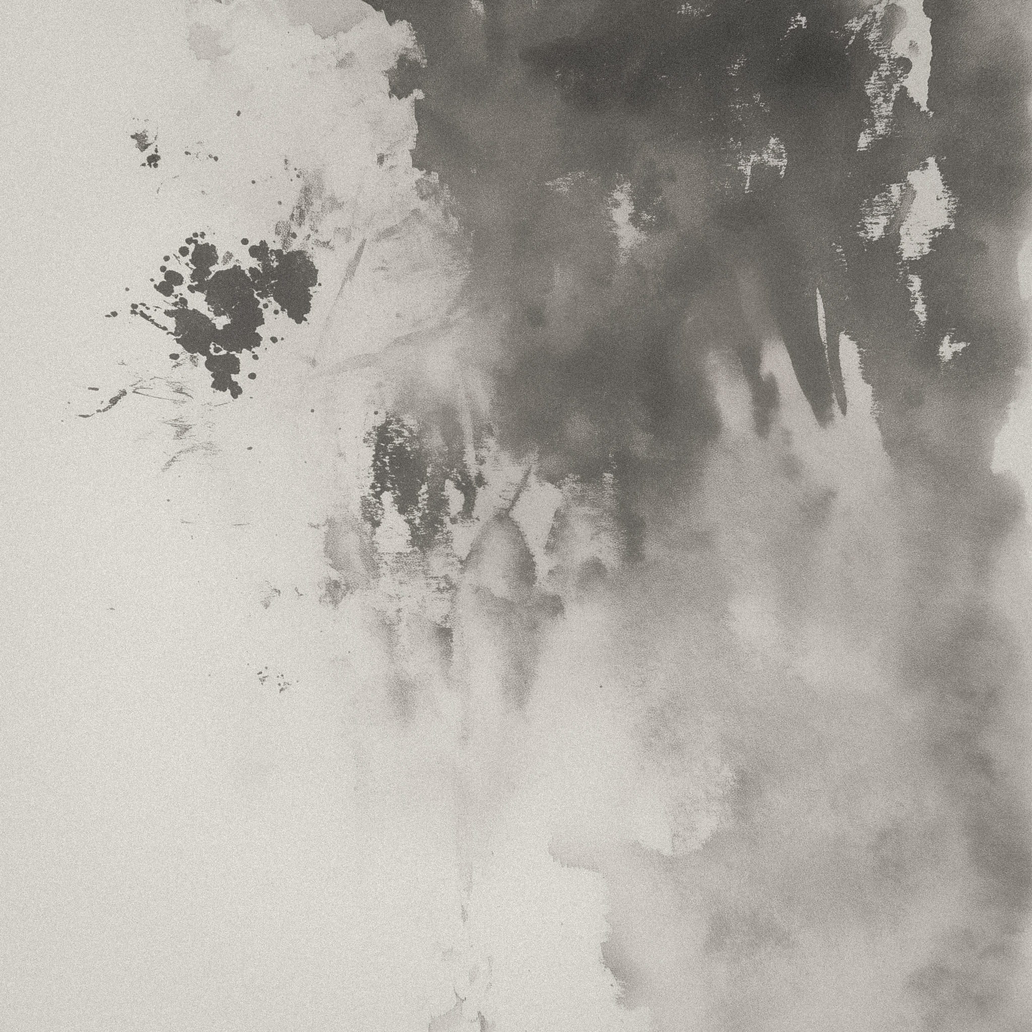 An abstract watercolor artwork featuring a blend of black and gray ink splotches and washes on a textured off-white background. The composition includes organic forms and splatters, creating a fluid, expressive feel. The interplay of light and dark tones suggests depth and movement within the piece.