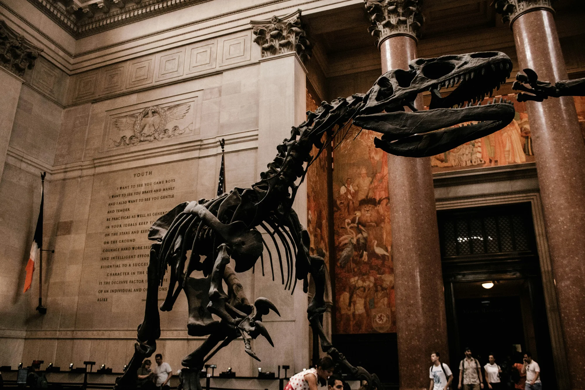 Tyrannosaurus Rex skeleton in a museum hall with marble columns, displaying prehistoric life for educational purposes.
