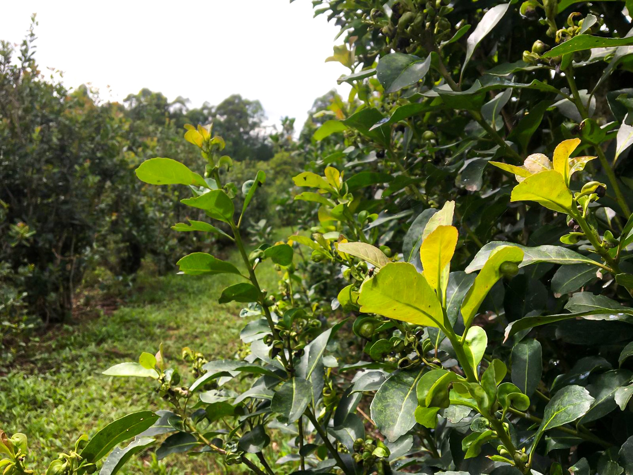 The Ever-Evolving Cybersecurity Landscape