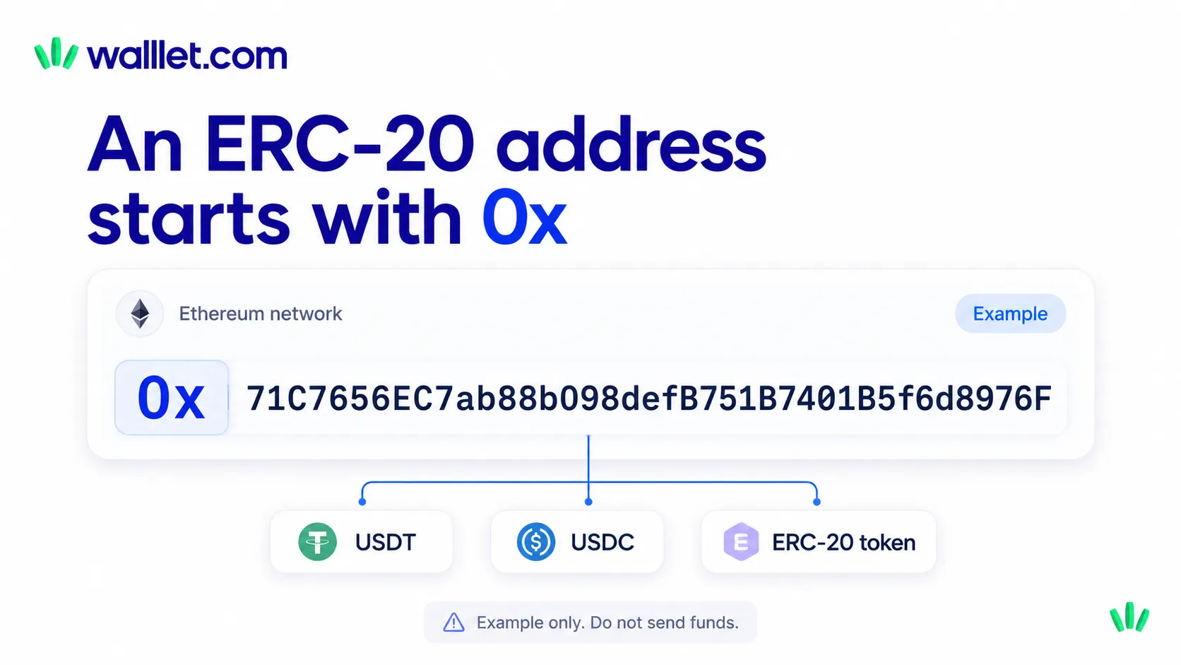 Example of an ERC-20 wallet address beginning with 0x on Ethereum, shown with USDT, USDC, and another ERC-20 token.