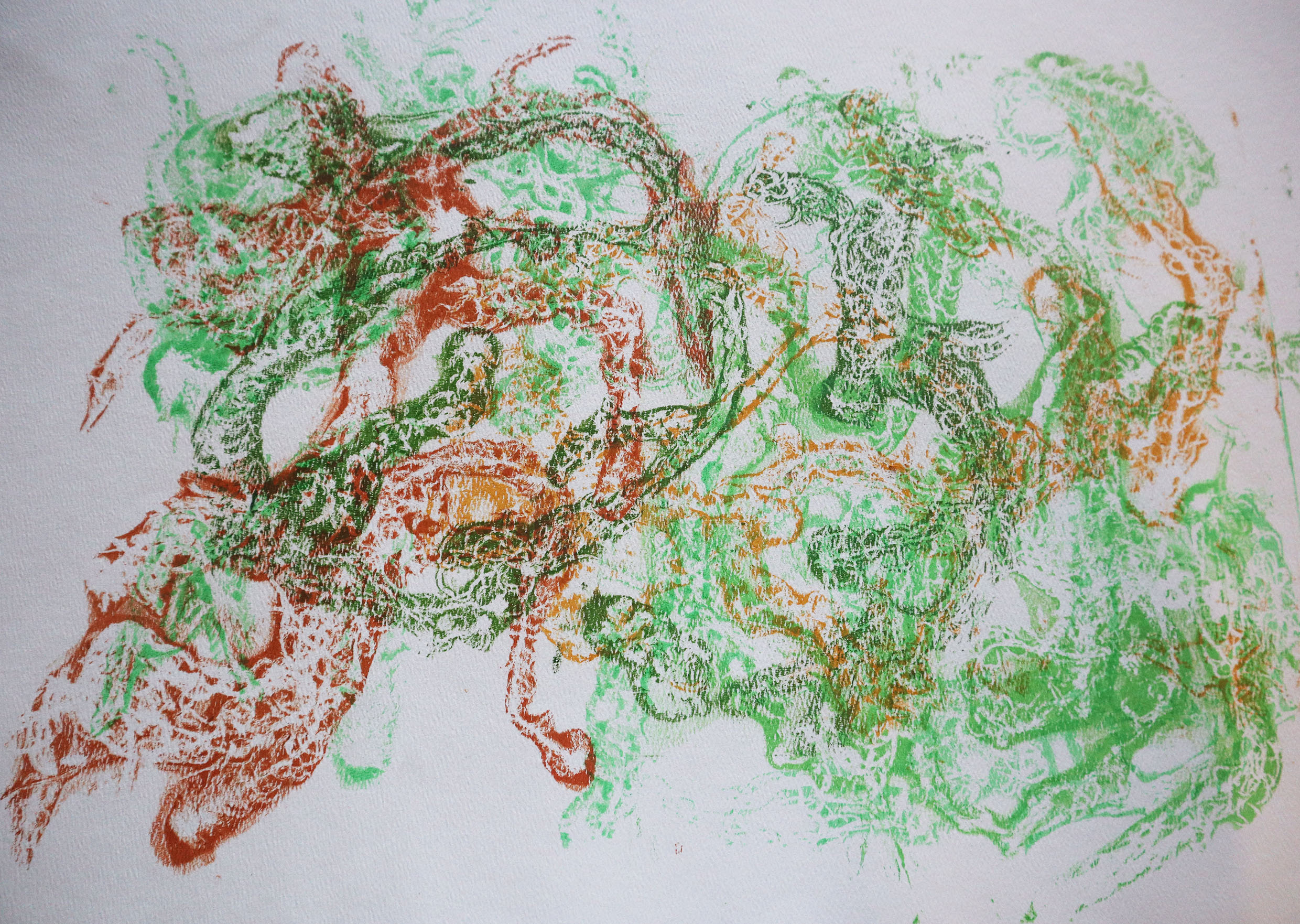 Gelli Print of Sphagnum Moss