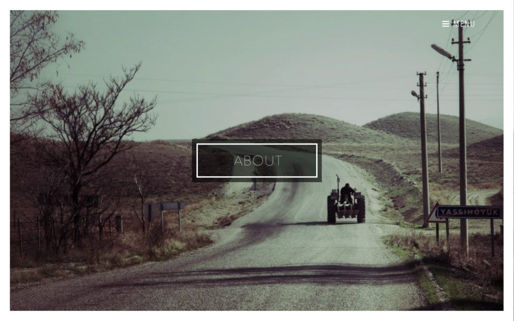 CHRIS KOCH website by Suzaku Productions