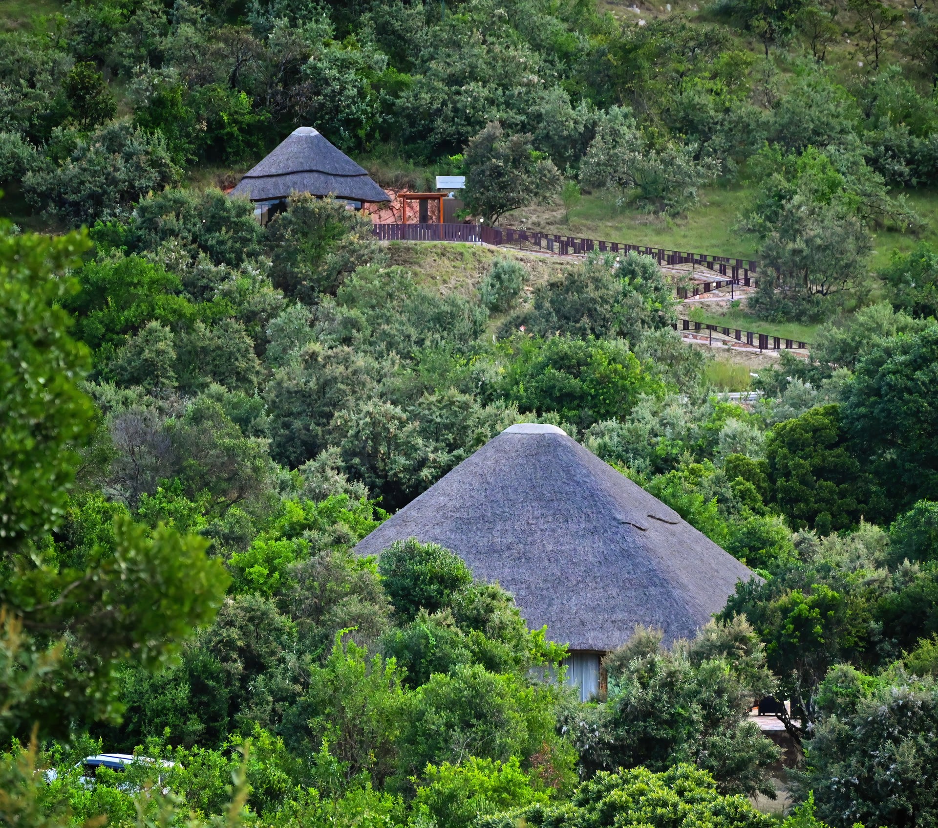 Lodge roofs surrounded by green forest