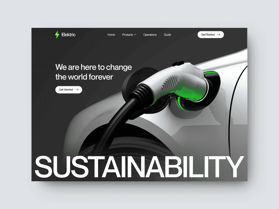 Elektric Website design