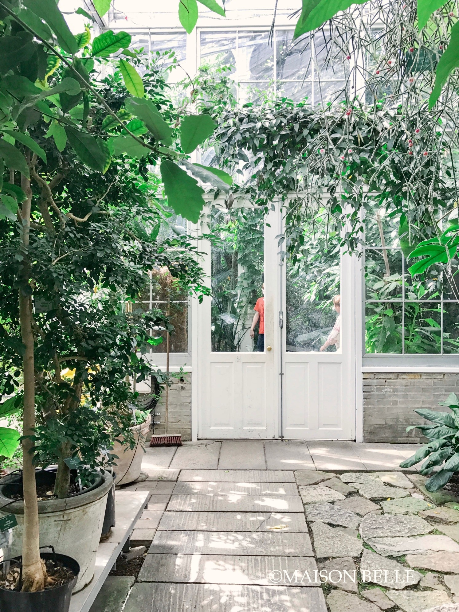 botanisch kopenhagen blog