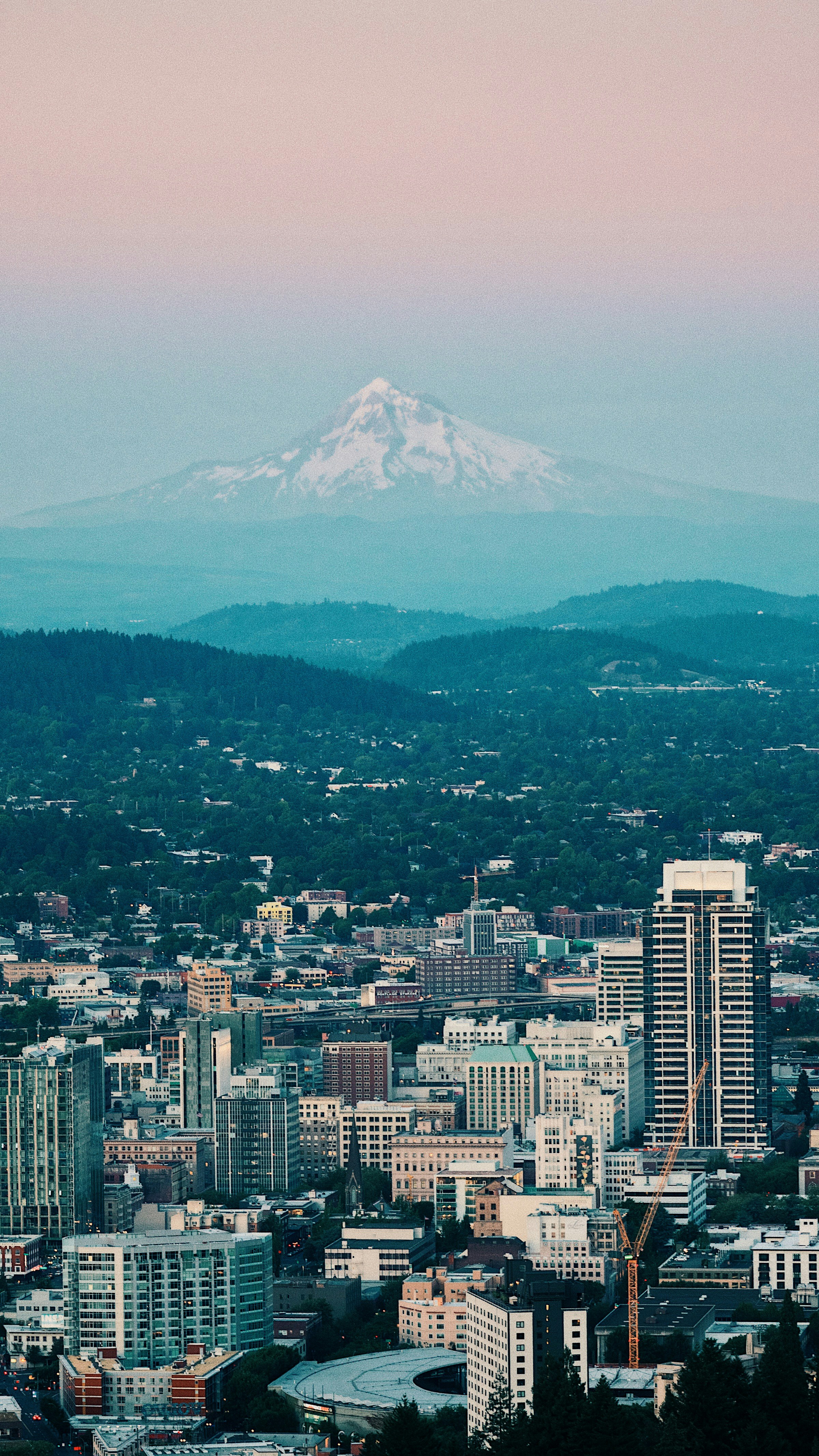 aerial photo of high rise buildings
