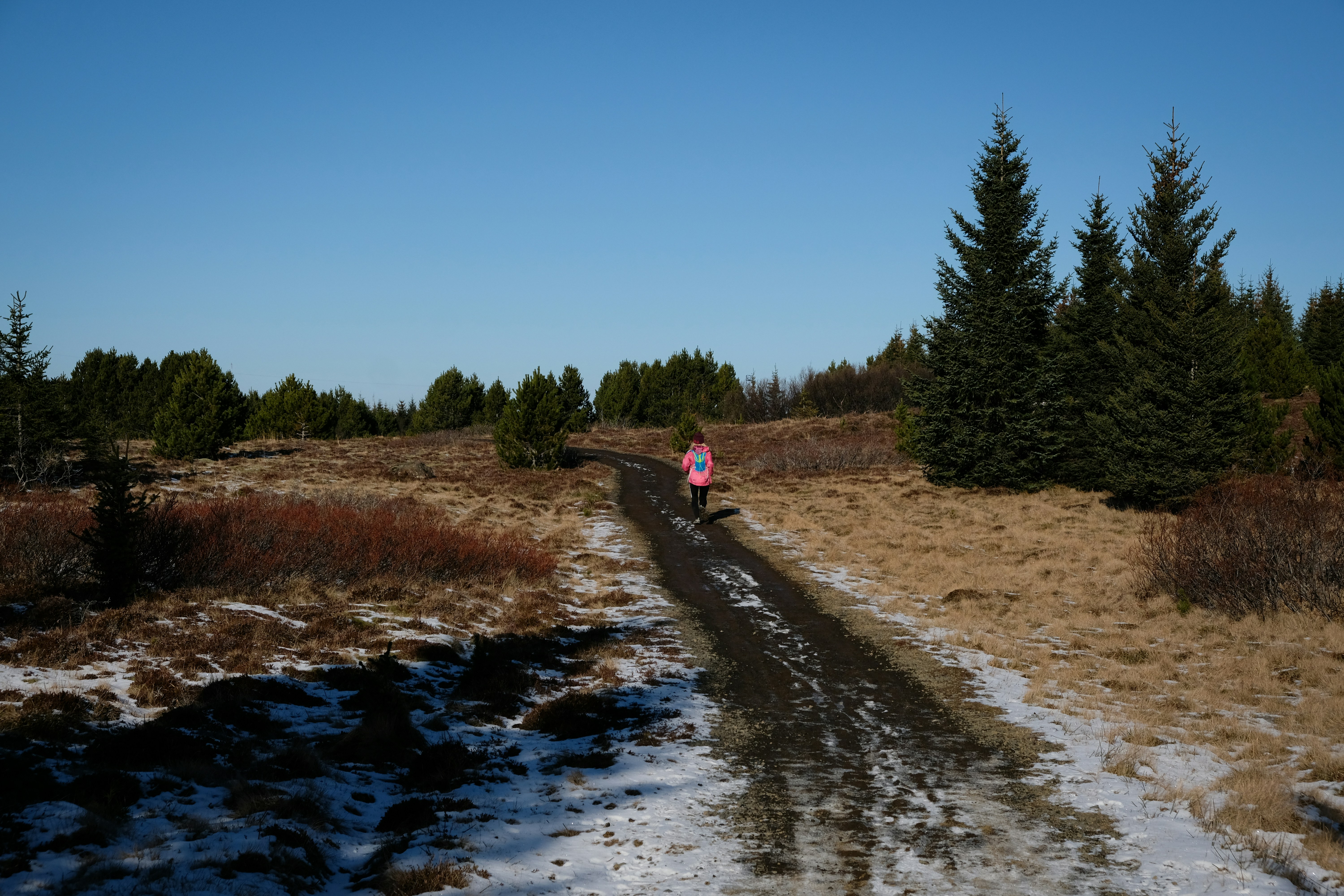 Person walking along a trail in Heiðmörk Nature Reserve in Reykjavík.