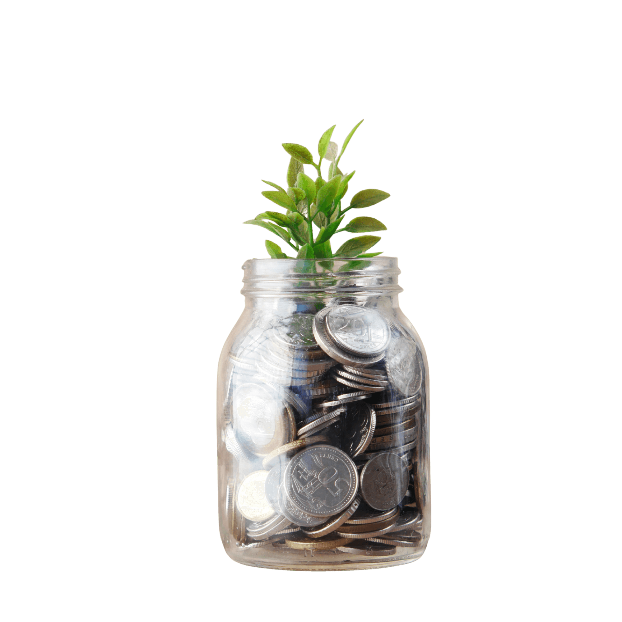Glass jar of coins with a growing plant