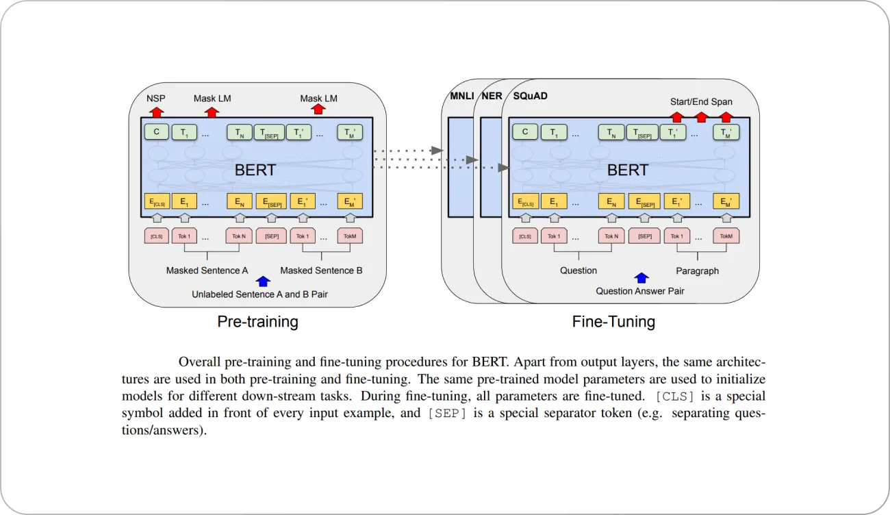 pre-training and fine-tuning pr