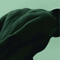 AI coronary plaque characterization for heart disease screening