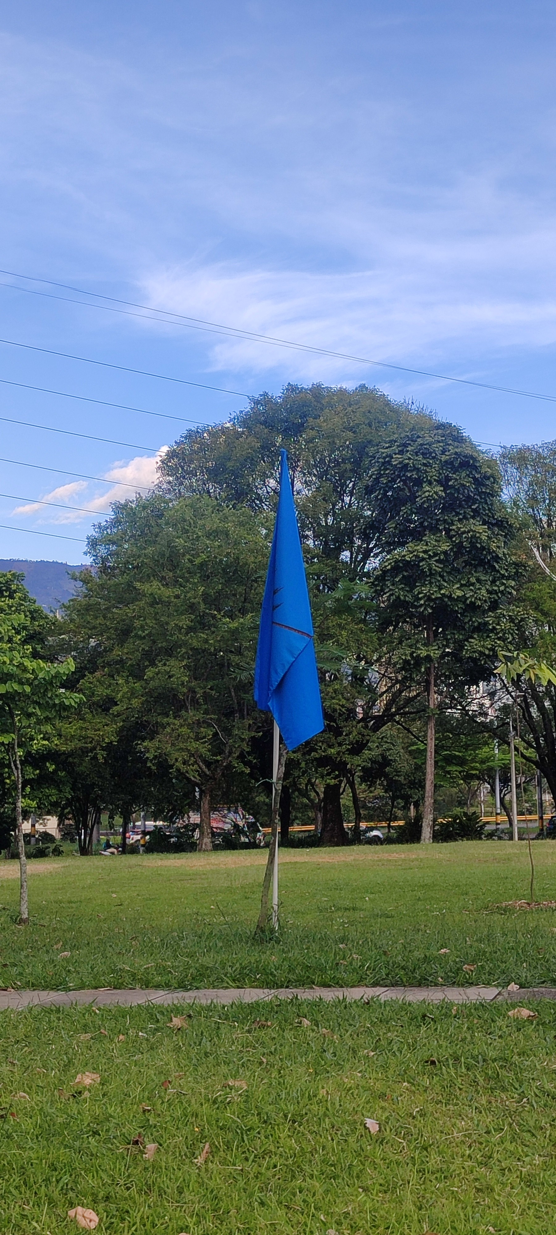 Windward, Juan Caicedo, Medellin, Colombia, uncommissioned, 2025