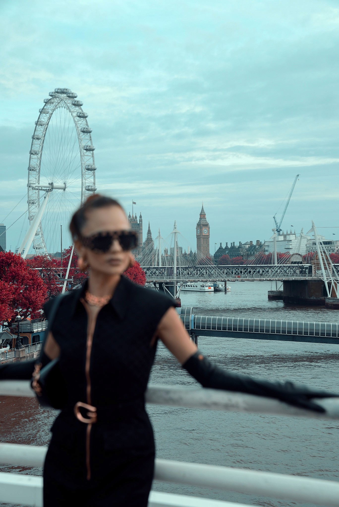 Person's hand petting Shiba Inu dog among fallen leaves