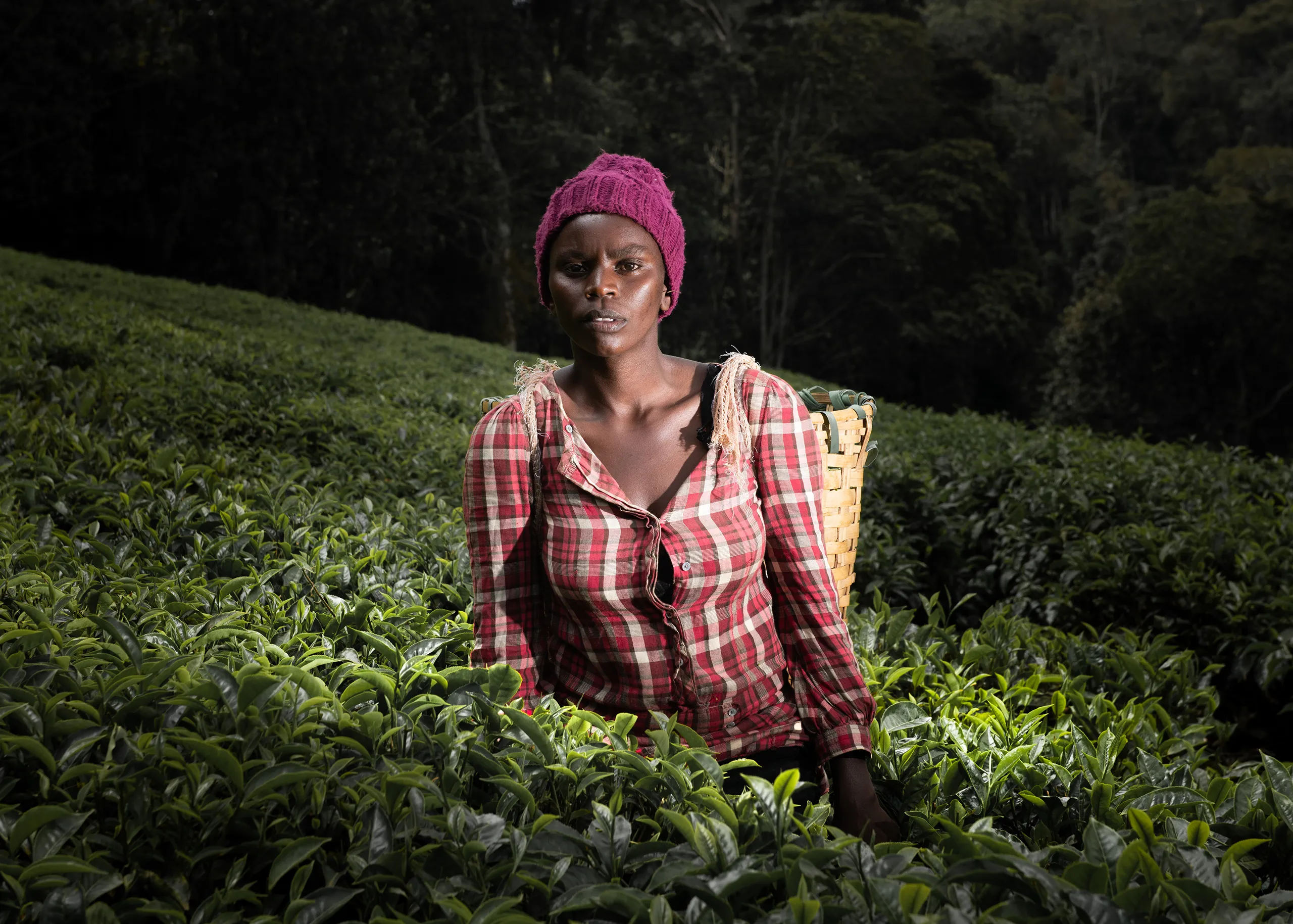 A formal editorial portrait of a female Kenyan coffee farmer in a red plaid shirt standing within a coffee plantation.