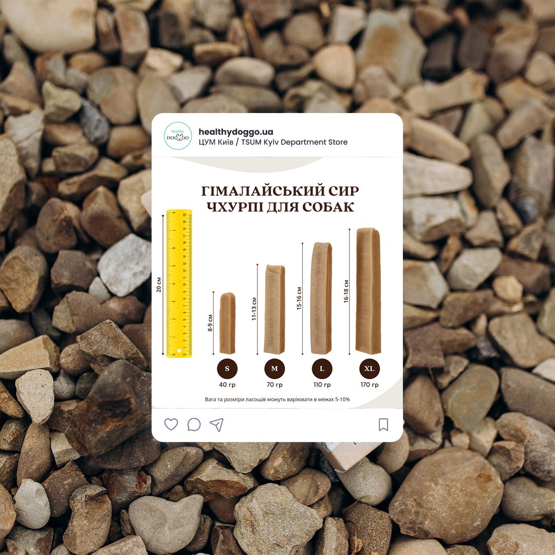 Modern home office setup with a monitor, ergonomic chair, keyboard, and indoor plants near a window with blinds.