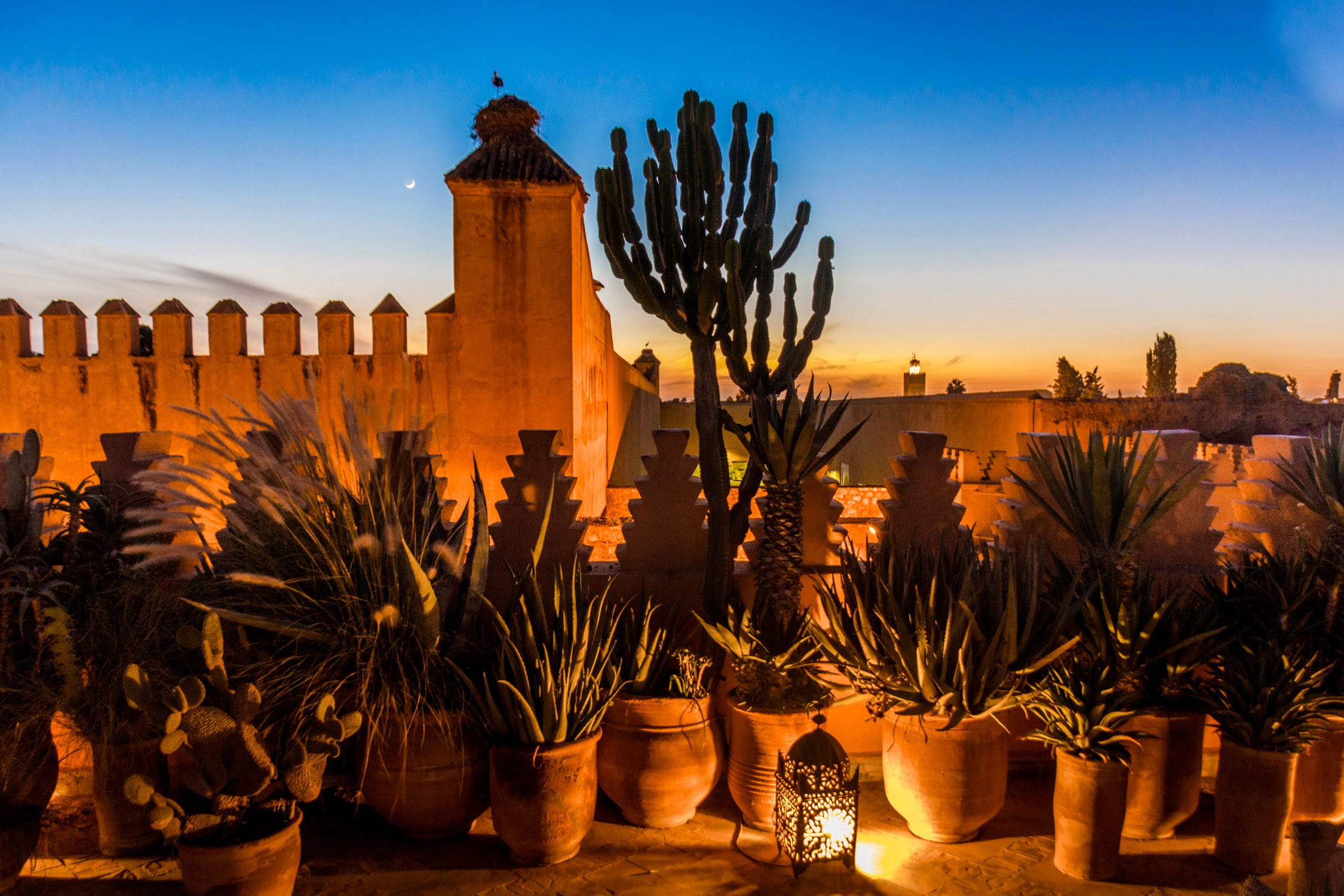 Cacti and succulents in terracotta pots line a stone wall topped with a turret under a clear blue sky at sunset.