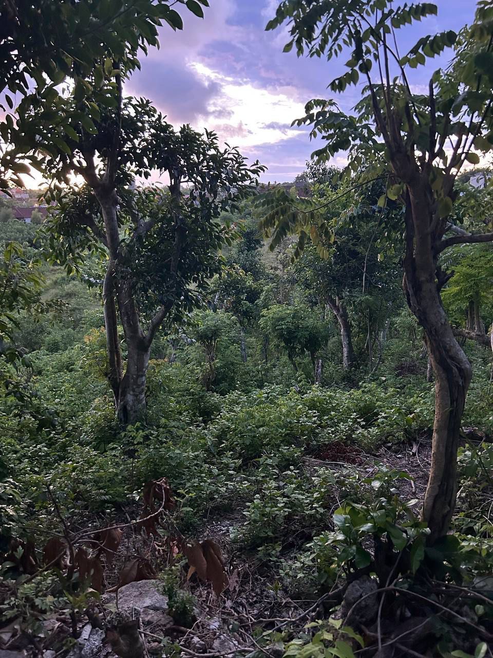 1580 m² land plot in Bukit, Ungasan — Freehold / Leasehold