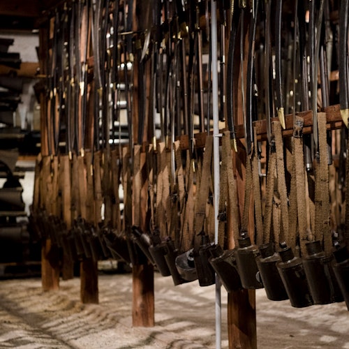 Forchtenstein Castle tickets