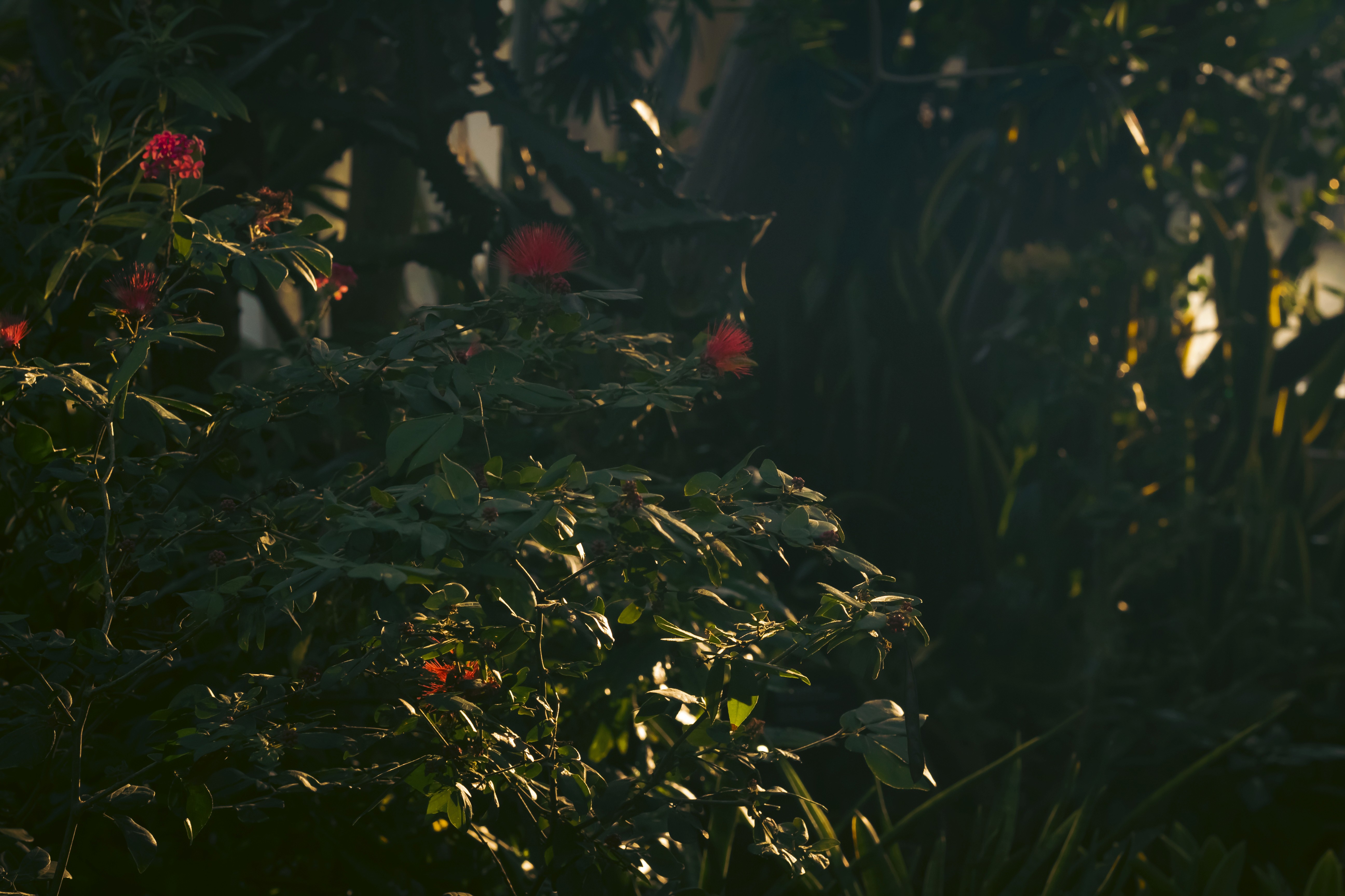 low angle photography of building