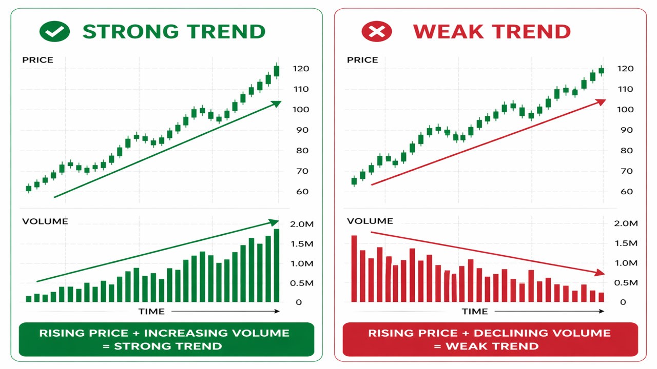 What This Means for You