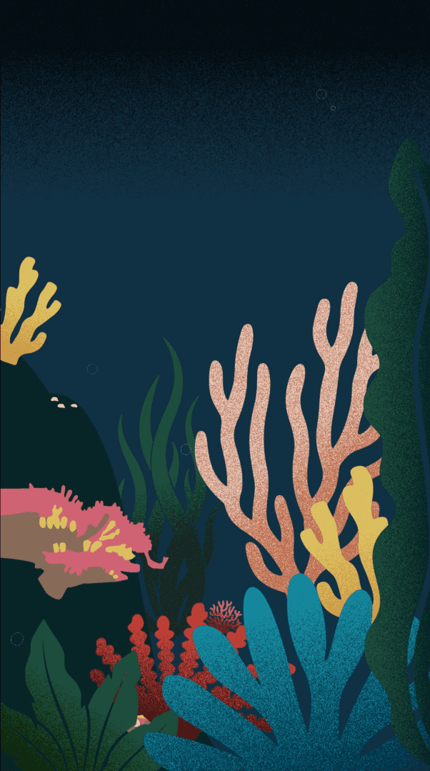 Essence project thumbnail
