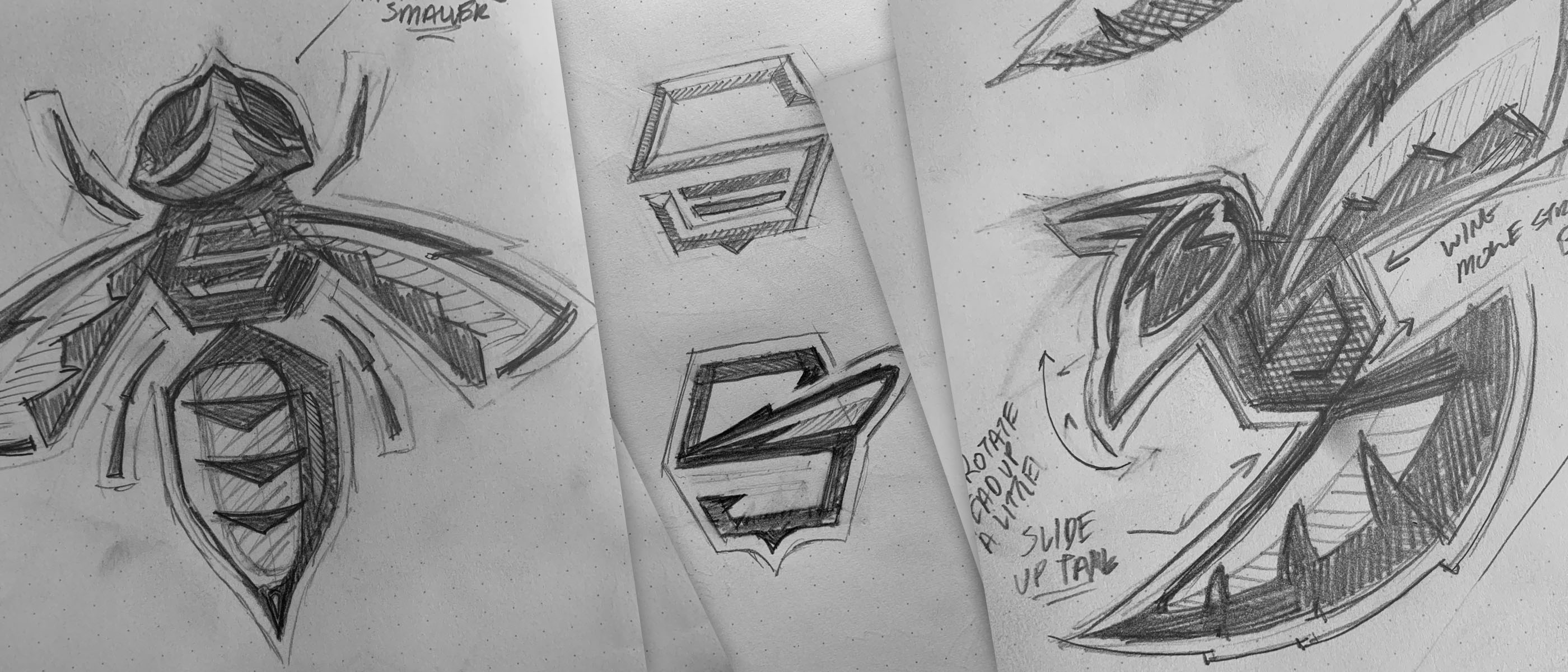 Stevensville School yellowjacket logo sketches.