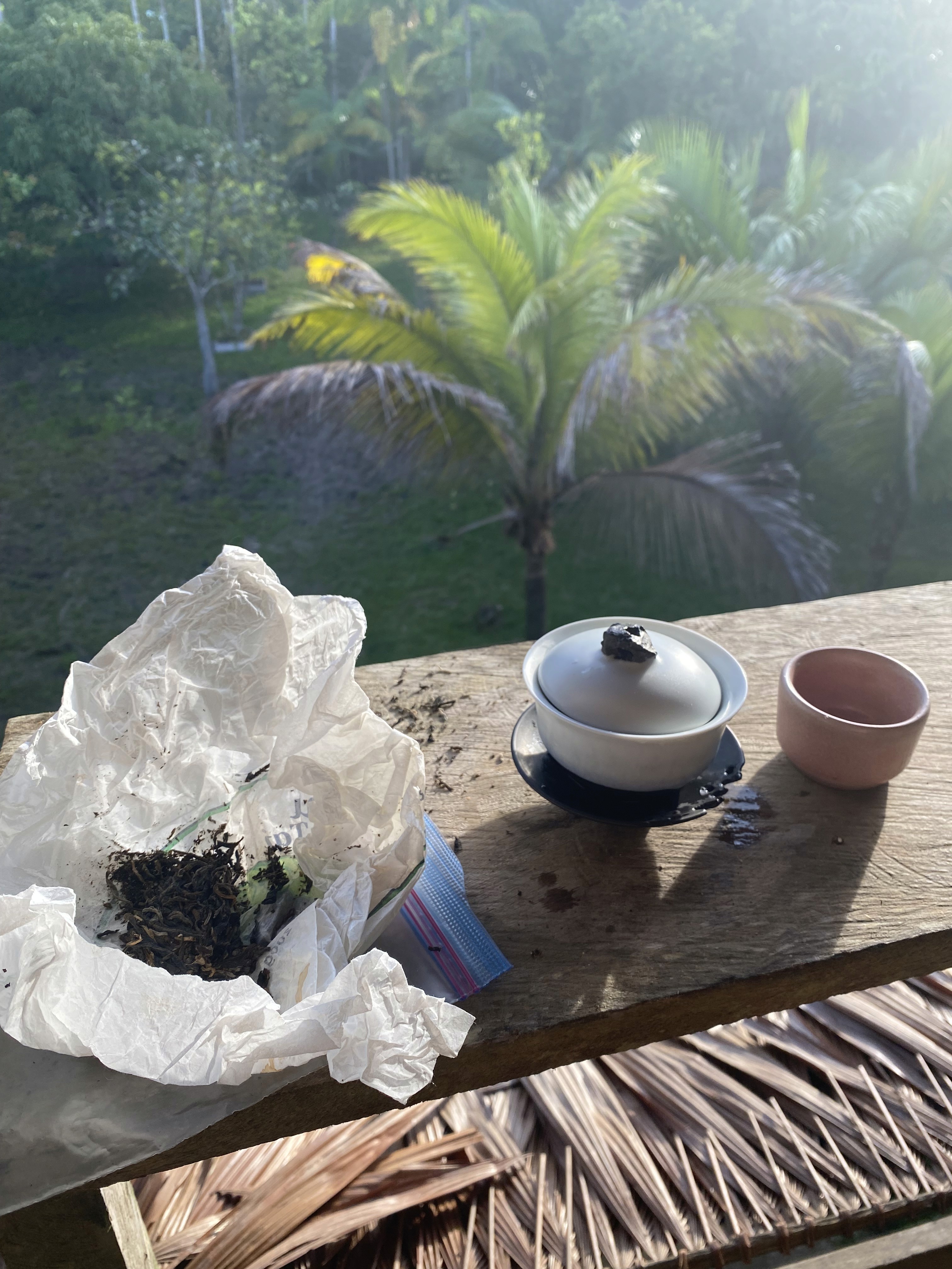 Gongfu with a View