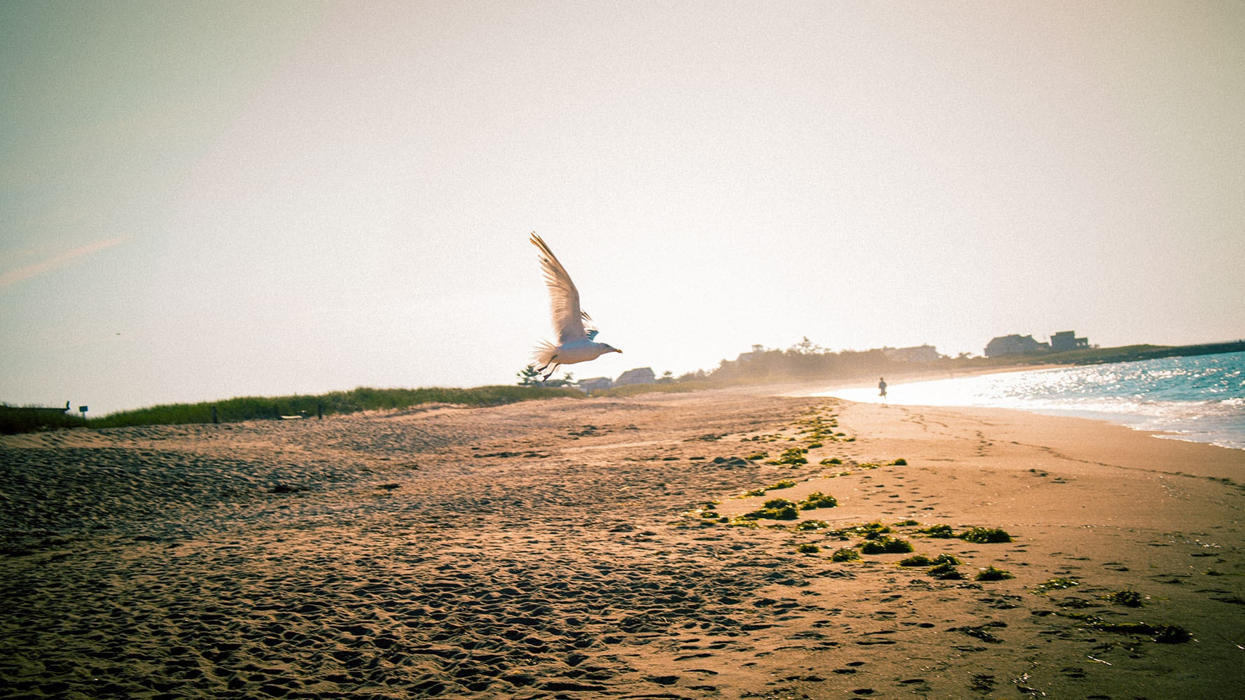 Photo by Billy Freeman on Unsplash