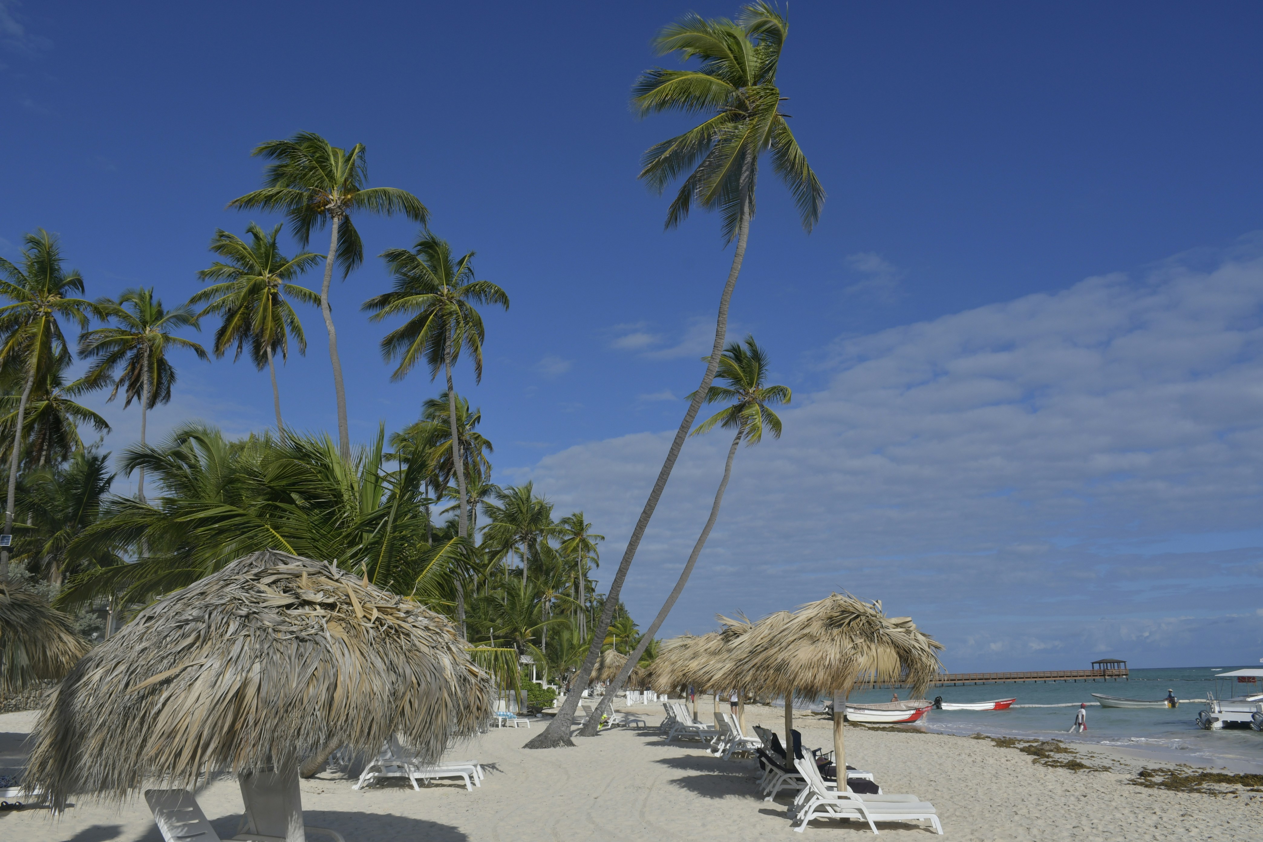 a sandy beach with palm trees and lounge chairs