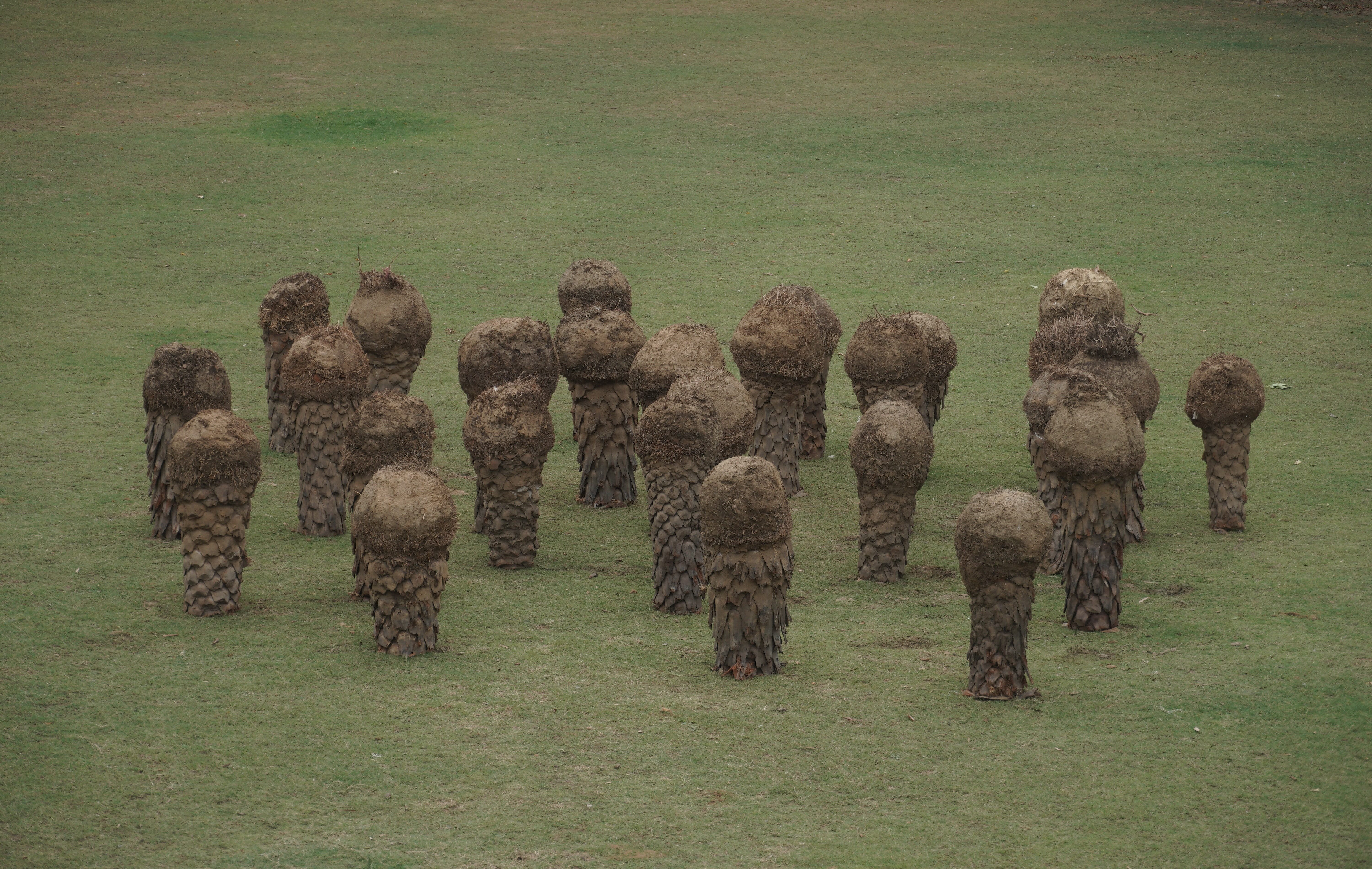 herd of sheep on road painting