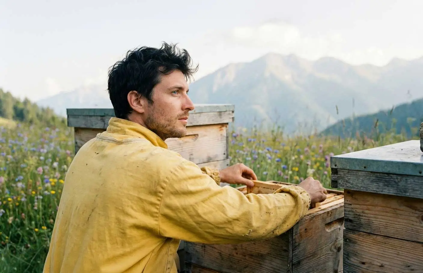Beekeeper working with beehives